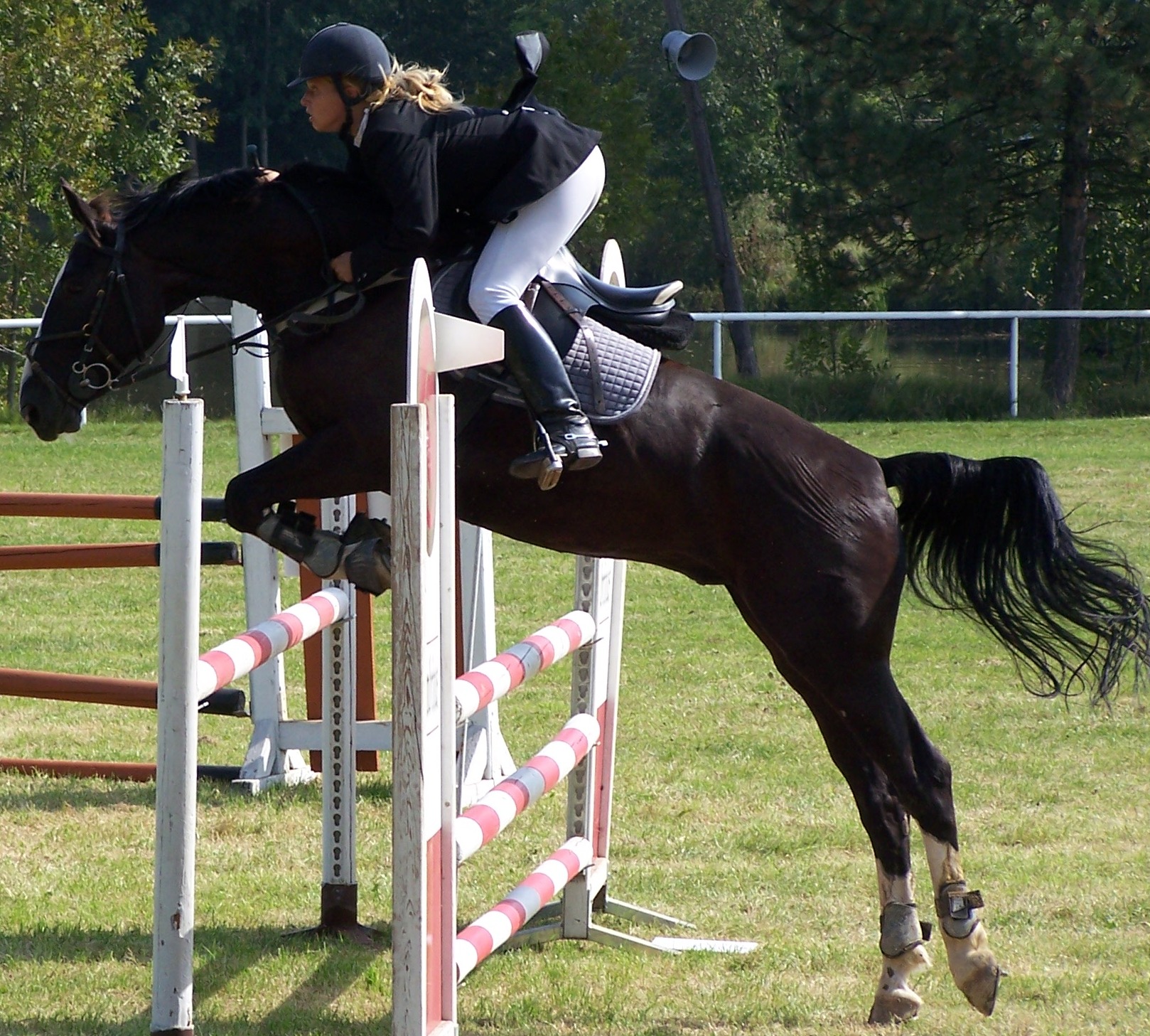 Snímek 047.jpg