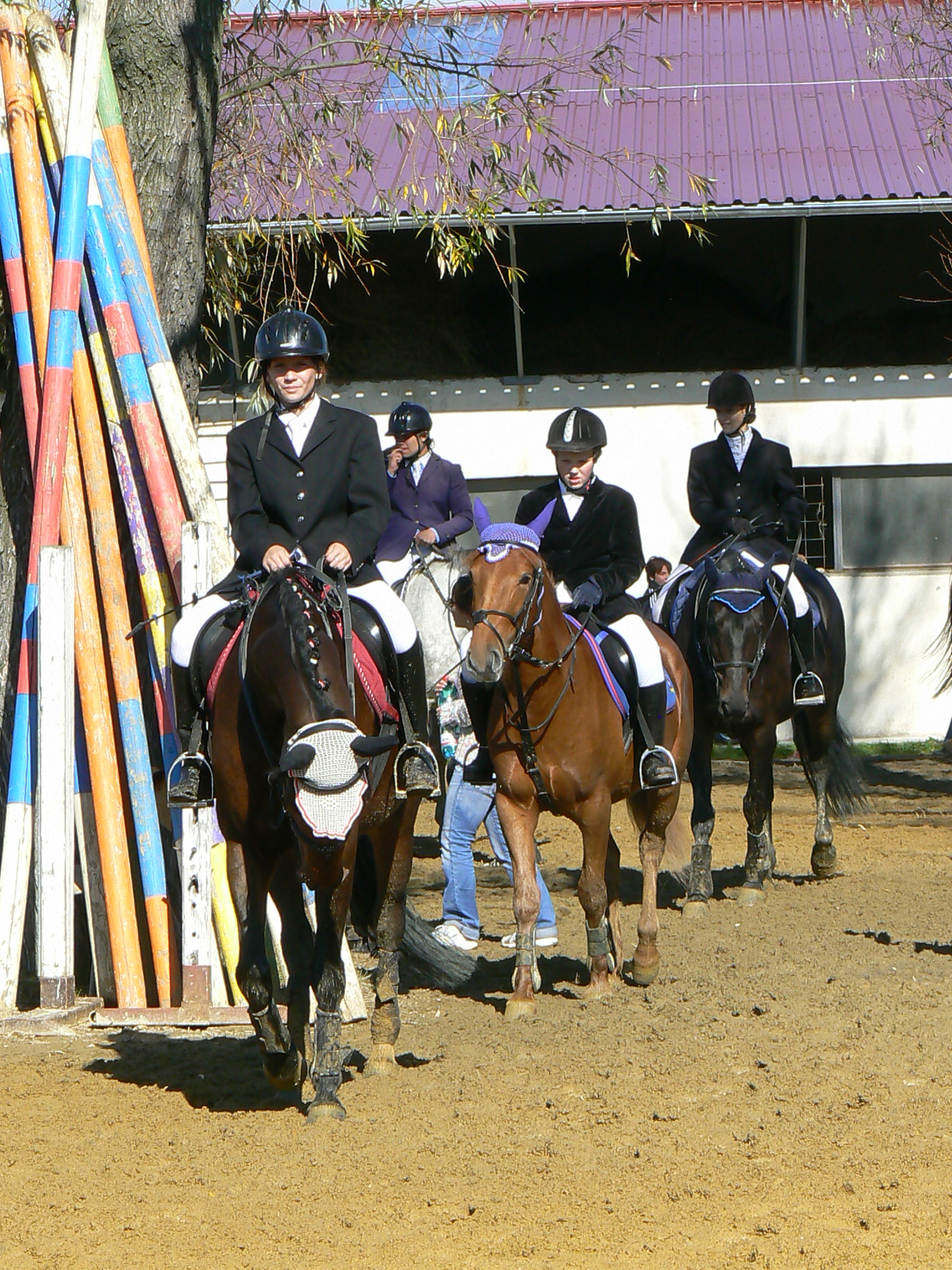 P1550872.JPG