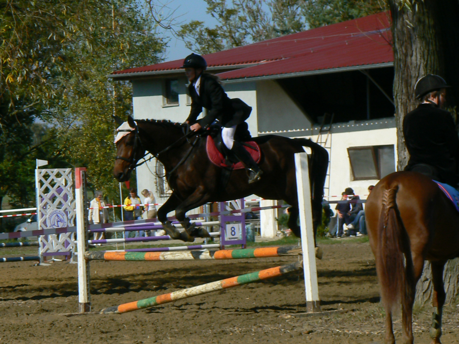 P1550806.JPG