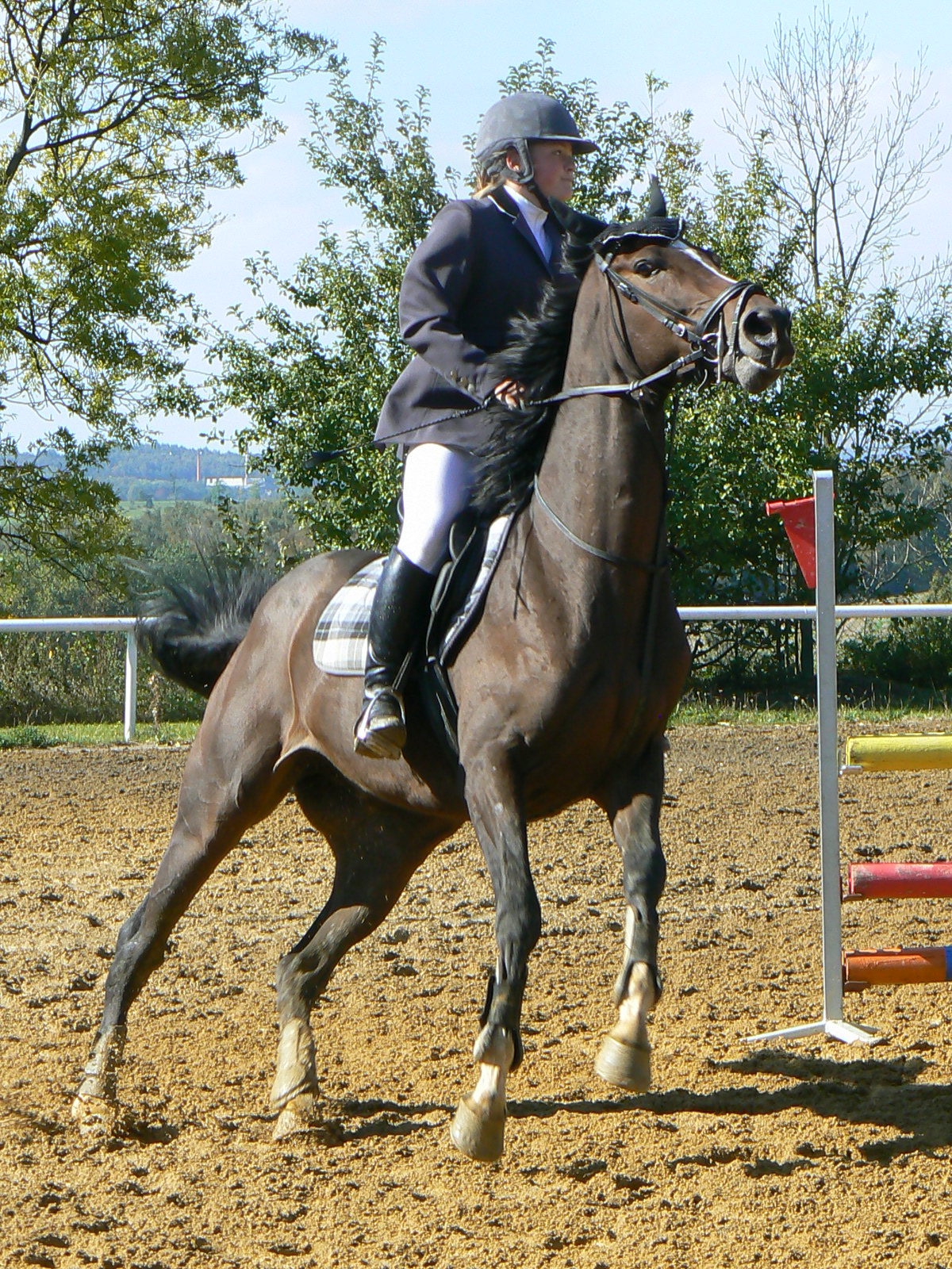P1560197.JPG